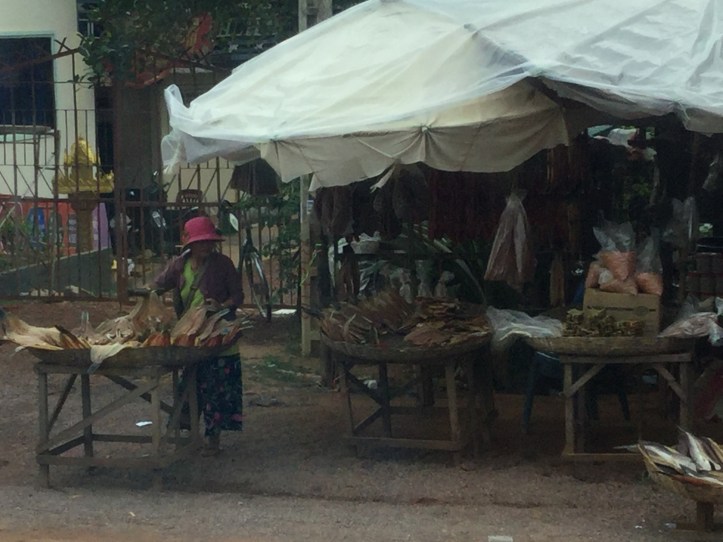 5C663677-185F-4AFB-9652-4FA91BB9DE22