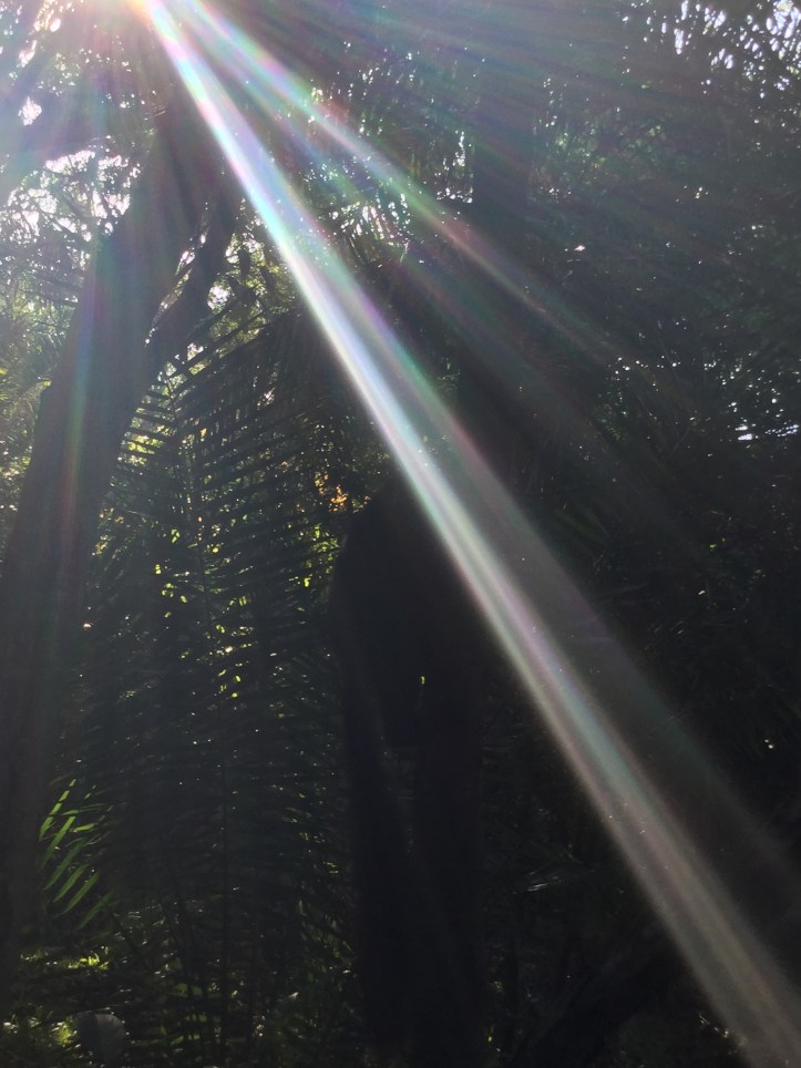 394F3826-34CA-4E50-9EE2-1620D9E59507