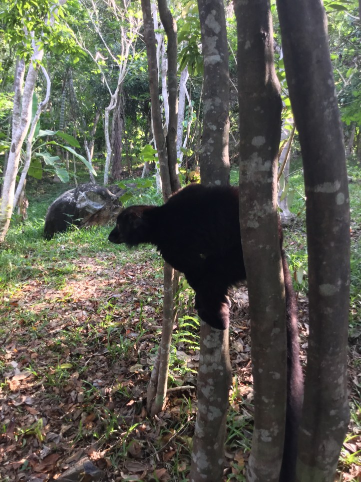 A24594F1-887E-4EC1-98CC-3D3AD8AEF3AC