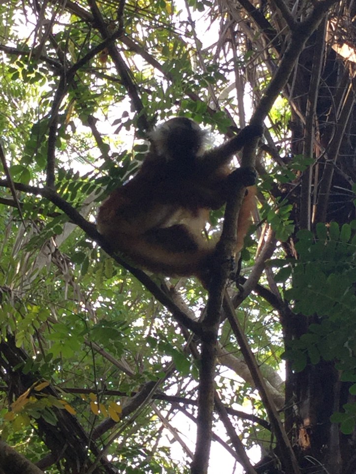 F2E1CA00-7DFB-41CD-9B34-DB6FA8CFD54B