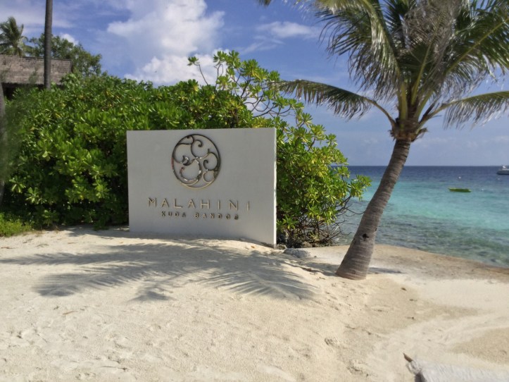 F67E24E4-6558-4037-8DBC-505D669DEEBB