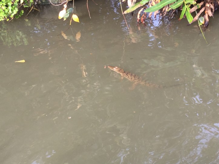 016FFECB-6329-47CE-9C31-8B4F5A577635