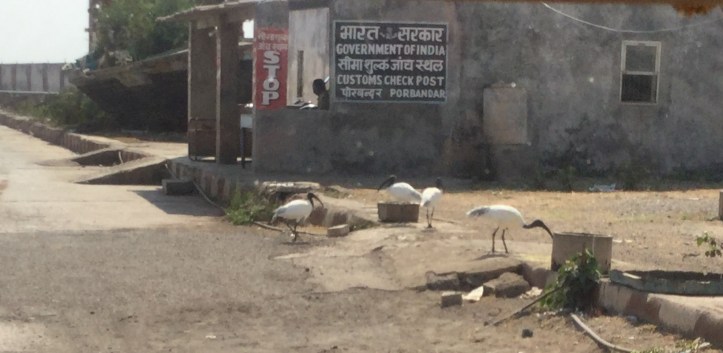 6CA4359C-BA58-478A-9C99-9CA1A7095982